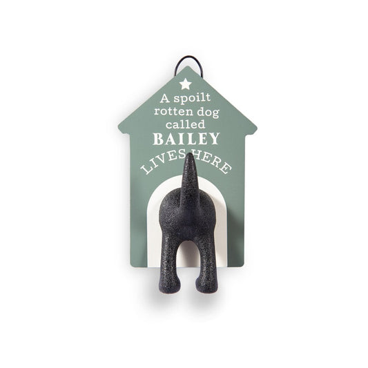 HISTORY & HERALDRY BAILEY - DOG LEAD HOOK