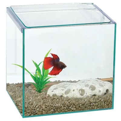 AQUA ONCE BETTA CUBE SQUARE GLASS TANK 16X16X16CM (LOCAL DELIVERY