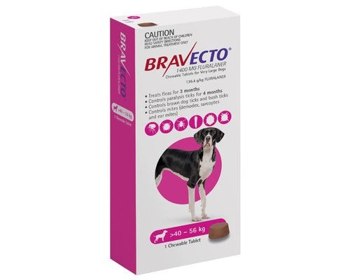 BRAVECTO CHEW FOR XL DOGS (40-56KG) PURPLE (1PK) - PAMPERED PETZ HORNSBY