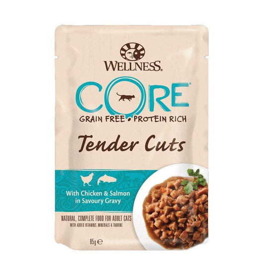 WELLNESS CORE TENDER CUTS WITH CHICKEN AND SALMON IN GRAVY 85GX12