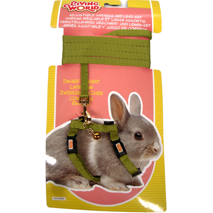 LIVING WORLD Dwarf Rabbit Harness/Lead Set Green