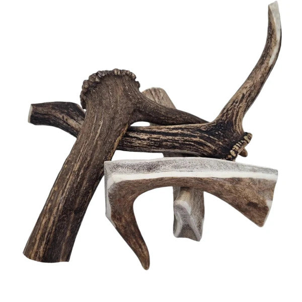 THE PAWFECT BUTCHER  WHOLE ANTLER SMALL 