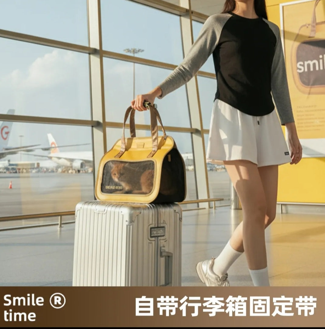 SMILE TIME PET CARRIER MOON BOX OF TREASURES L48CMXD25CMXH32CM
