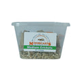 MINIBEASTS Live Crickets Medium