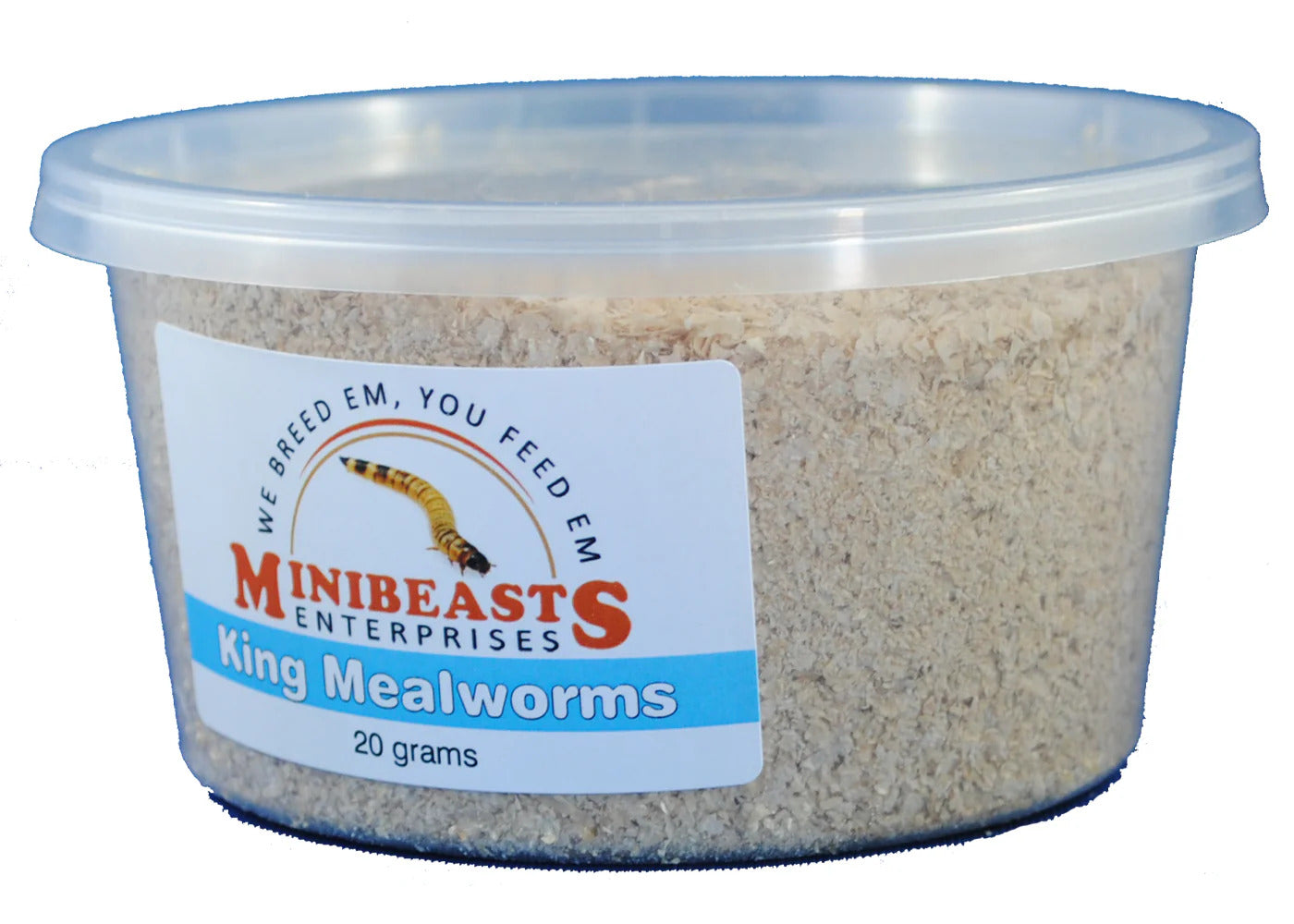MINIBEASTS King Mealworms 20g