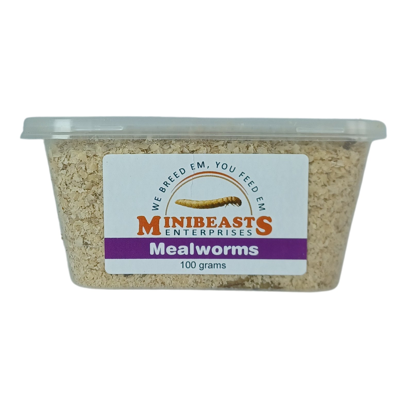 MINIBEASTS Mealworms 100g