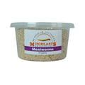 MINIBEASTS Mealworms 50g