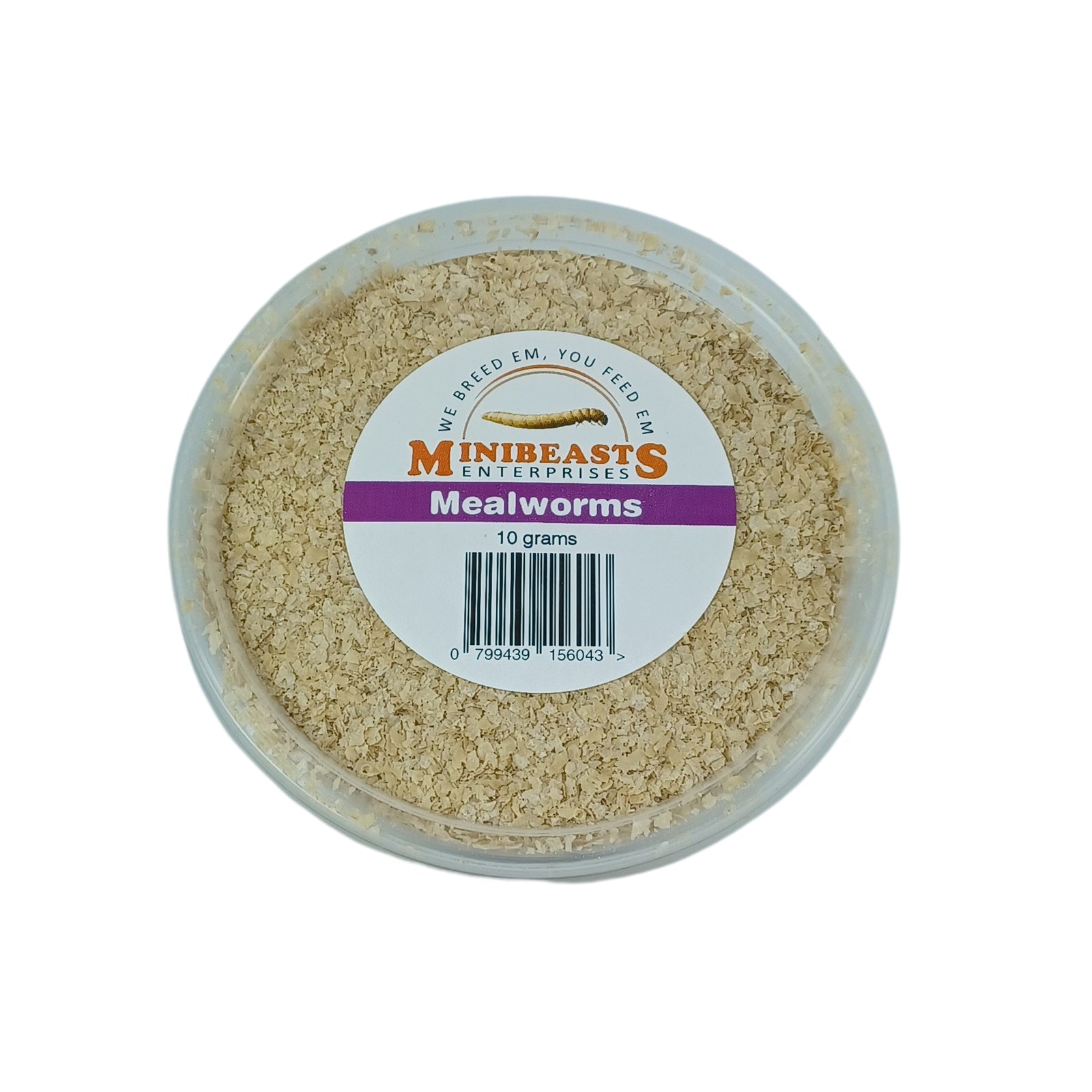 MINIBEASTS Mealworms 10G