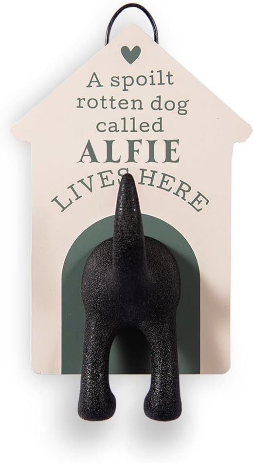 HISTORY & HERALDRY ALFIE - DOG LEAD HOOK