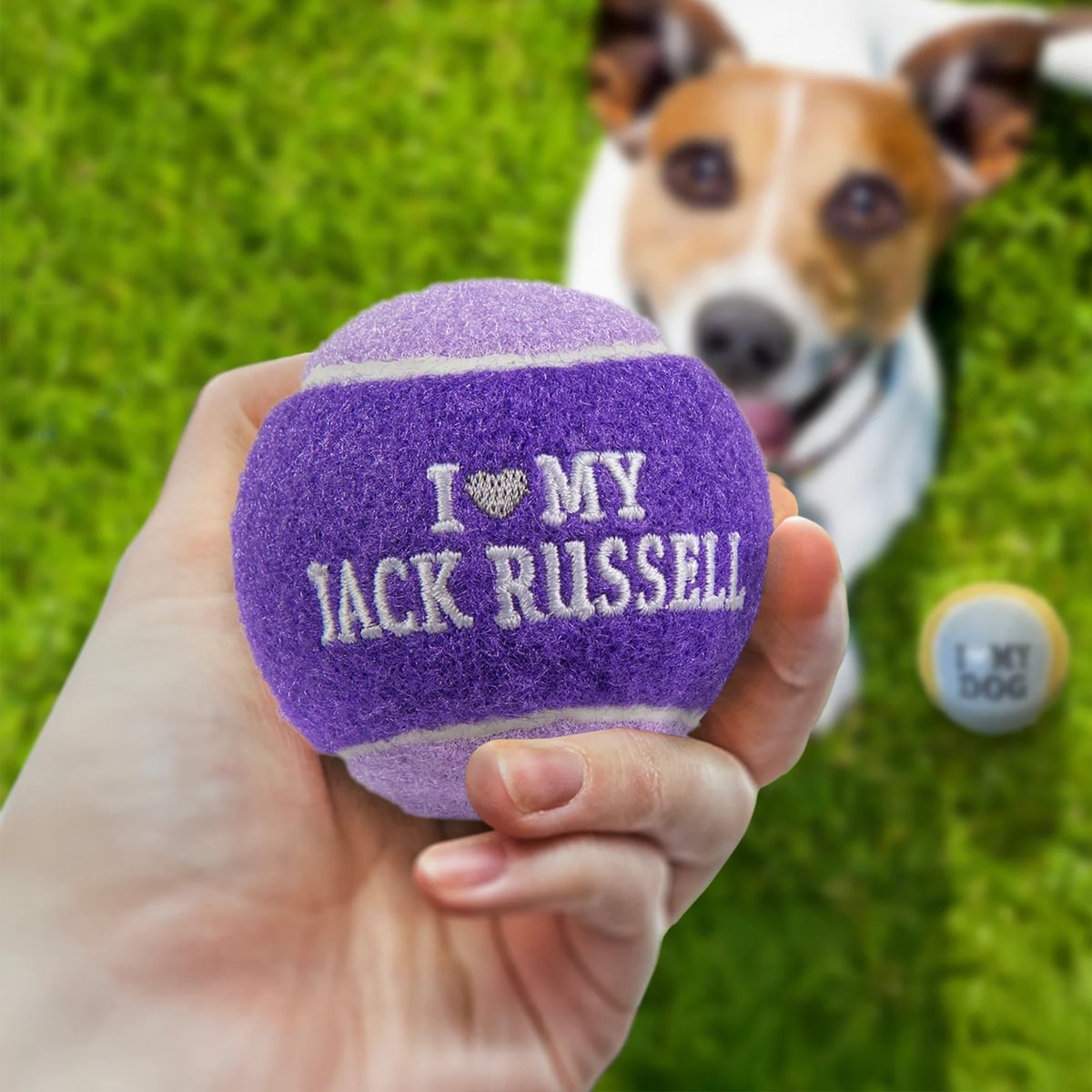 HISTORY & HERALDRY PERSONALISED DOG BALL JACK RUSSELL 