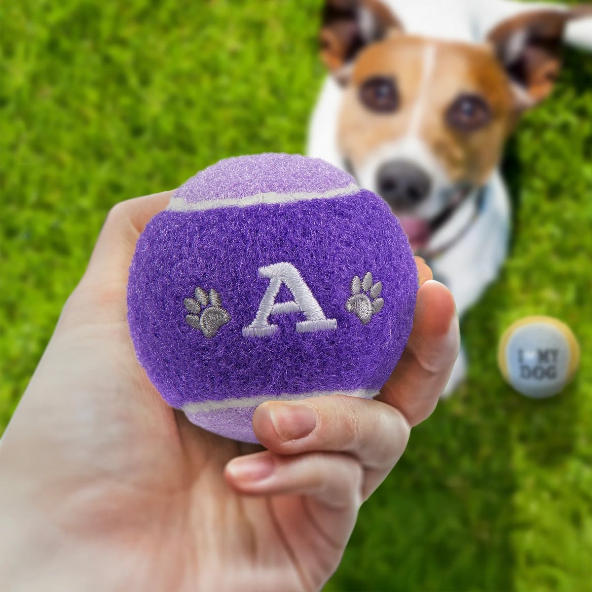 HISTORY & HERALDRY PERSONALISED DOG BALL A 