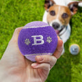 HISTORY & HERALDRY PERSONALISED DOG BALL B 