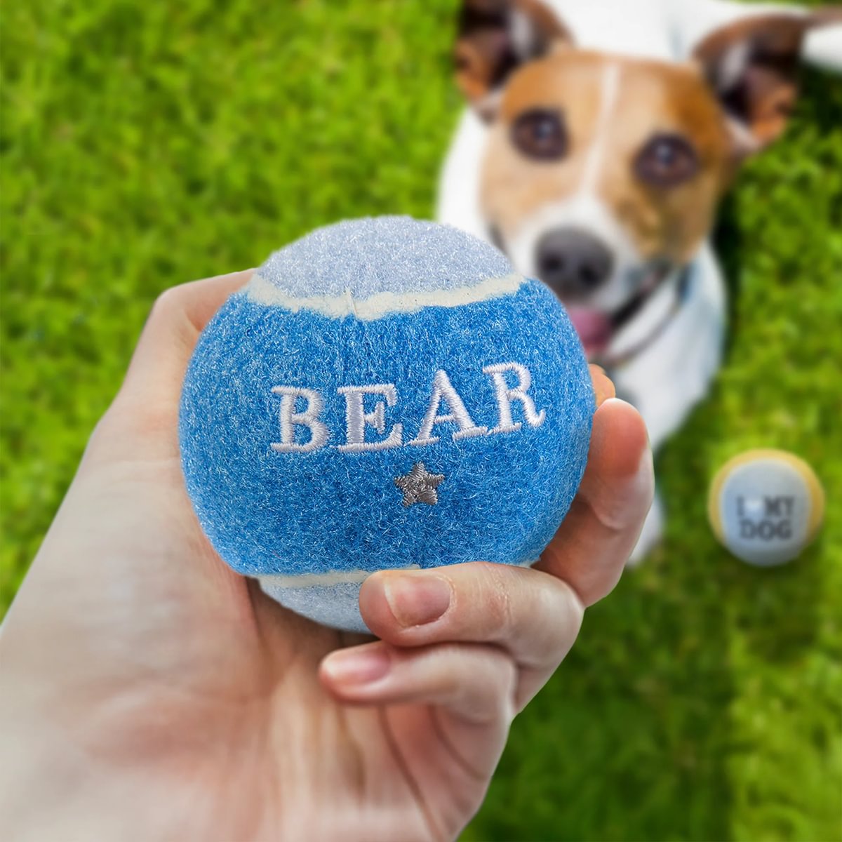 HISTORY & HERALDRY PERSONALISED DOG BALL BEAR 