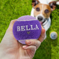 HISTORY & HERALDRY PERSONALISED DOG BALL BELLA 