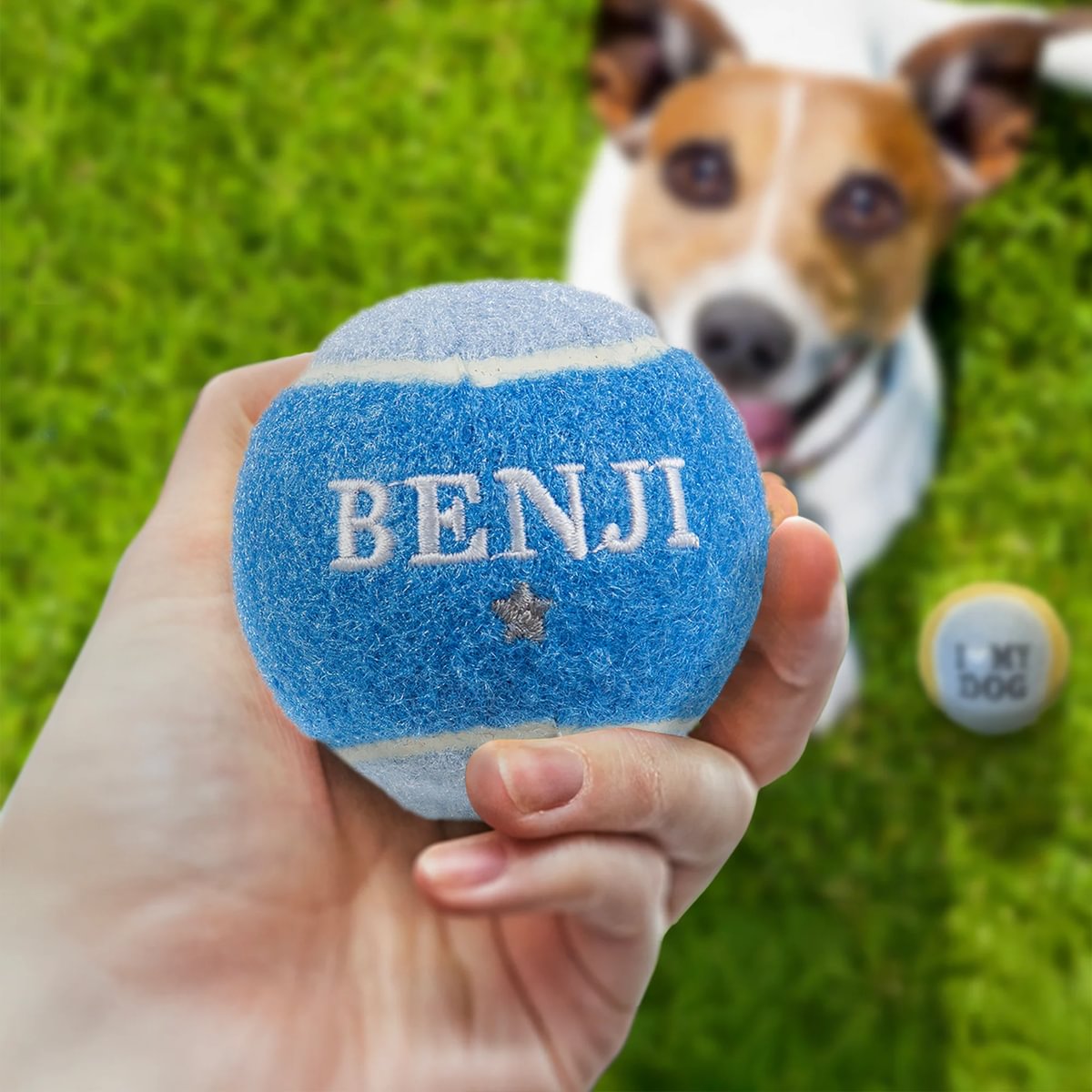 HISTORY & HERALDRY PERSONALISED DOG BALL BENJI 