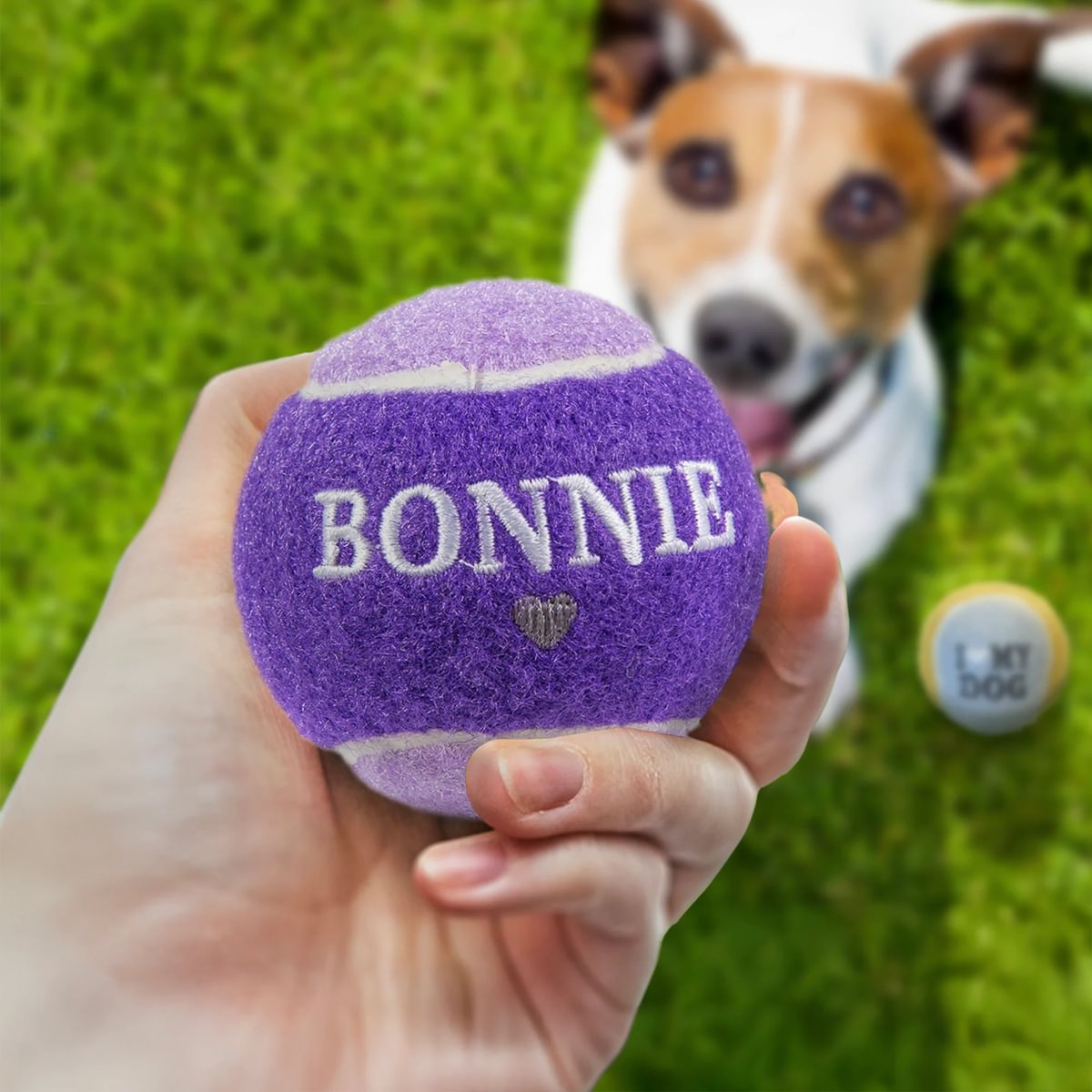 HISTORY & HERALDRY PERSONALISED DOG BALL BONNIE 