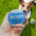 HISTORY & HERALDRY PERSONALISED DOG BALL BUDDY 
