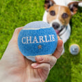 HISTORY & HERALDRY PERSONALISED DOG BALL CHARLIE 