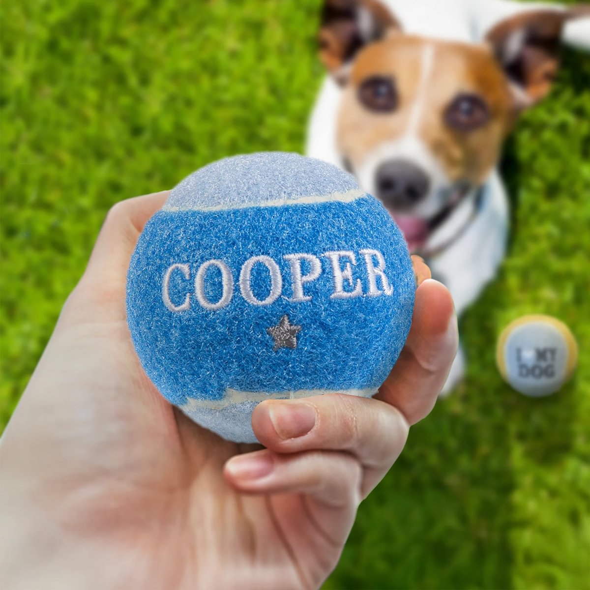 HISTORY & HERALDRY PERSONALISED DOG BALL COOPER 