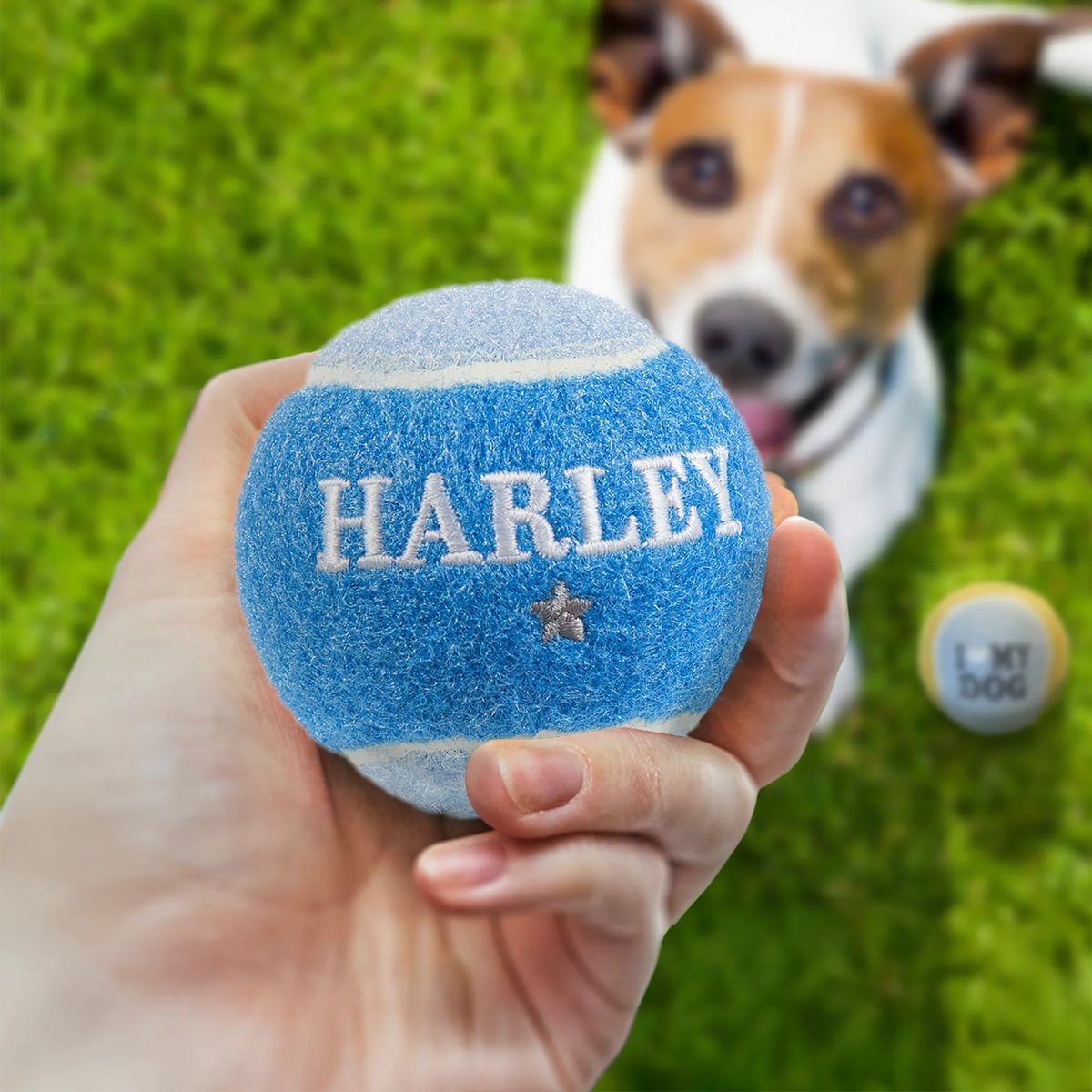 HISTORY & HERALDRY PERSONALISED DOG BALL HARLEY 