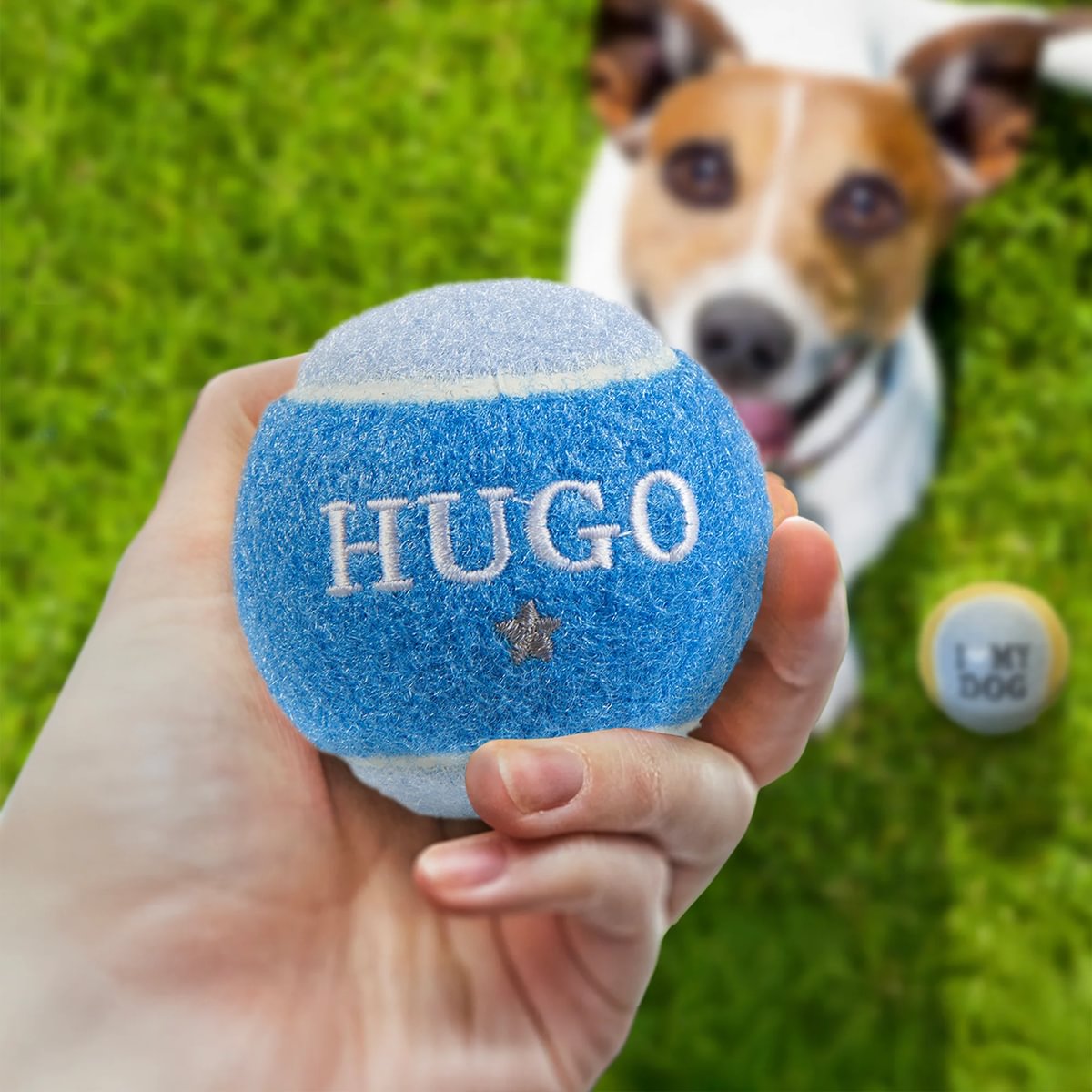 HISTORY & HERALDRY PERSONALISED DOG BALL HUGO 