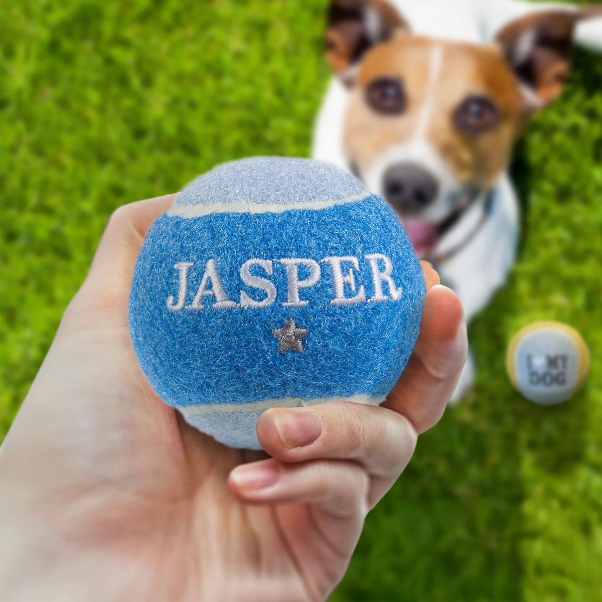 HISTORY & HERALDRY PERSONALISED DOG BALL JASPER 