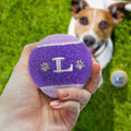 HISTORY & HERALDRY PERSONALISED DOG BALL L 