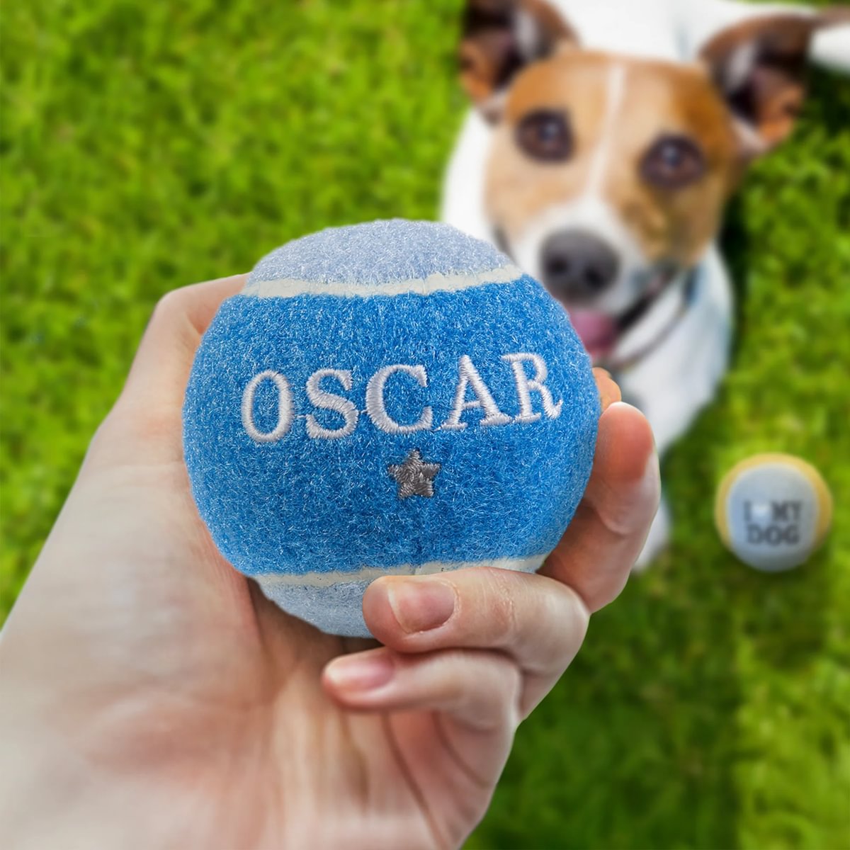 HISTORY & HERALDRY PERSONALISED DOG BALL OSCAR 