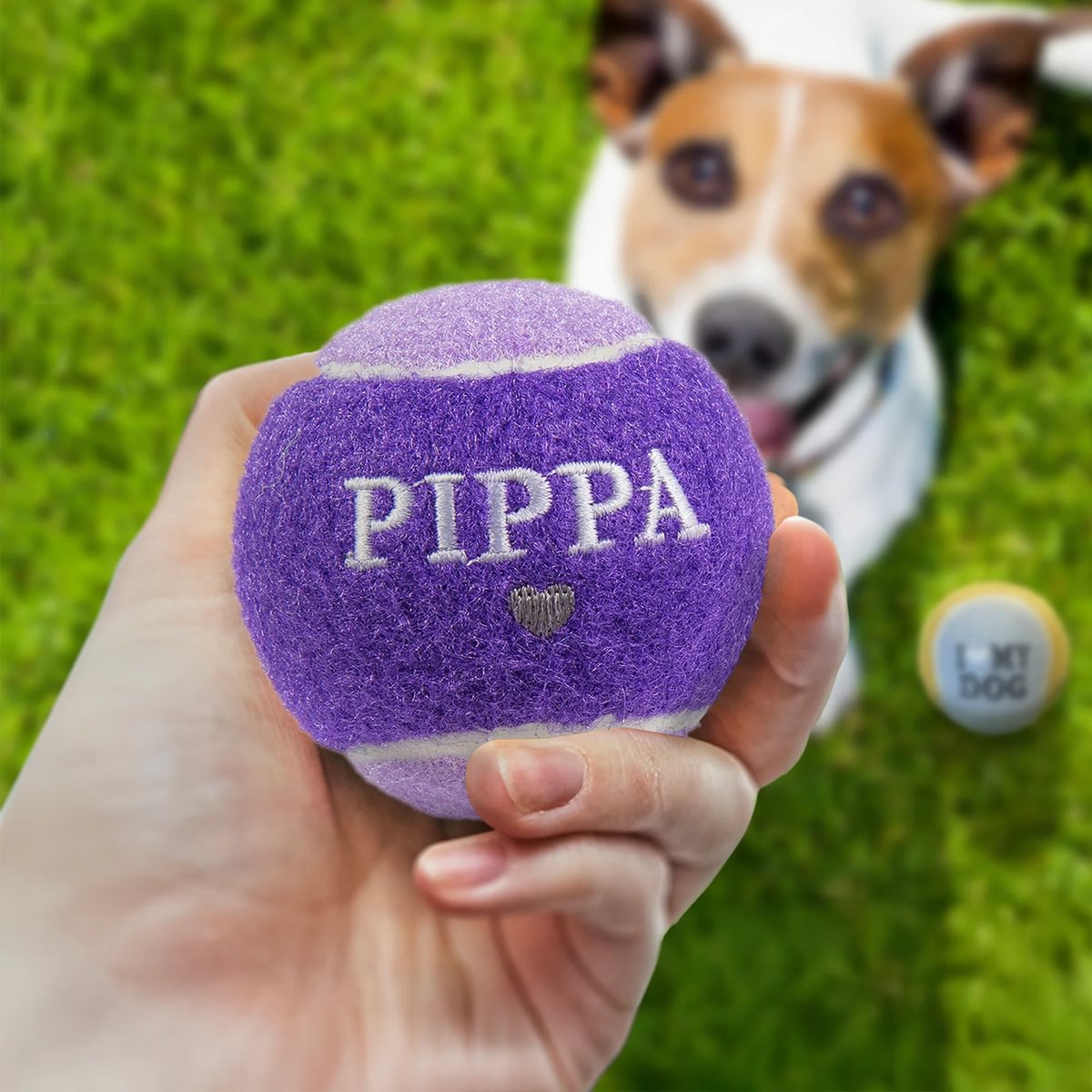 HISTORY & HERALDRY PERSONALISED DOG BALL PIPPA 