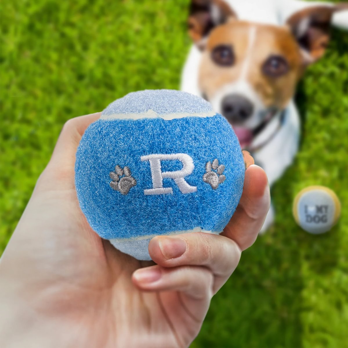 HISTORY & HERALDRY PERSONALISED DOG BALL R 