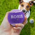HISTORY & HERALDRY PERSONALISED DOG BALL ROSIE 