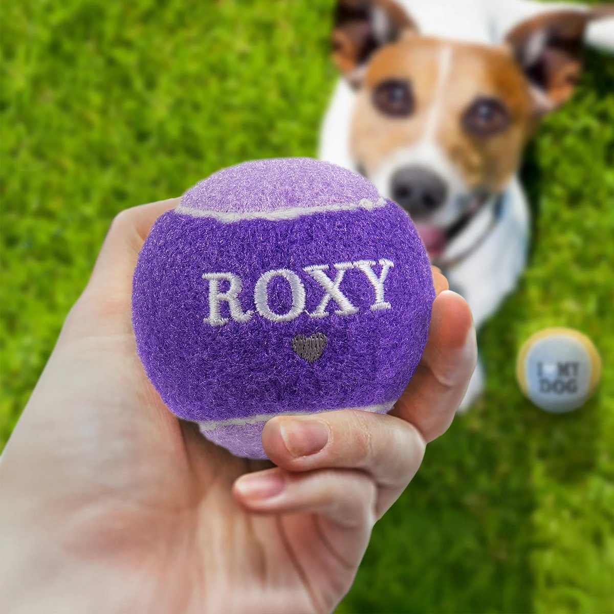 HISTORY & HERALDRY PERSONALISED DOG BALL ROXY 