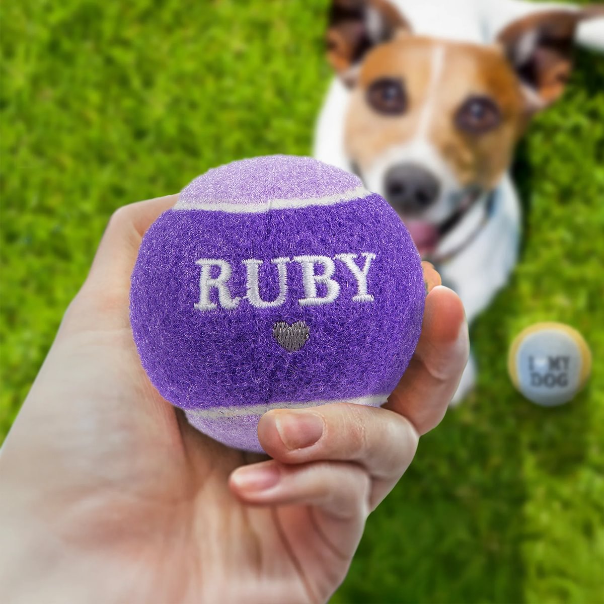 HISTORY & HERALDRY PERSONALISED DOG BALL RUBY 