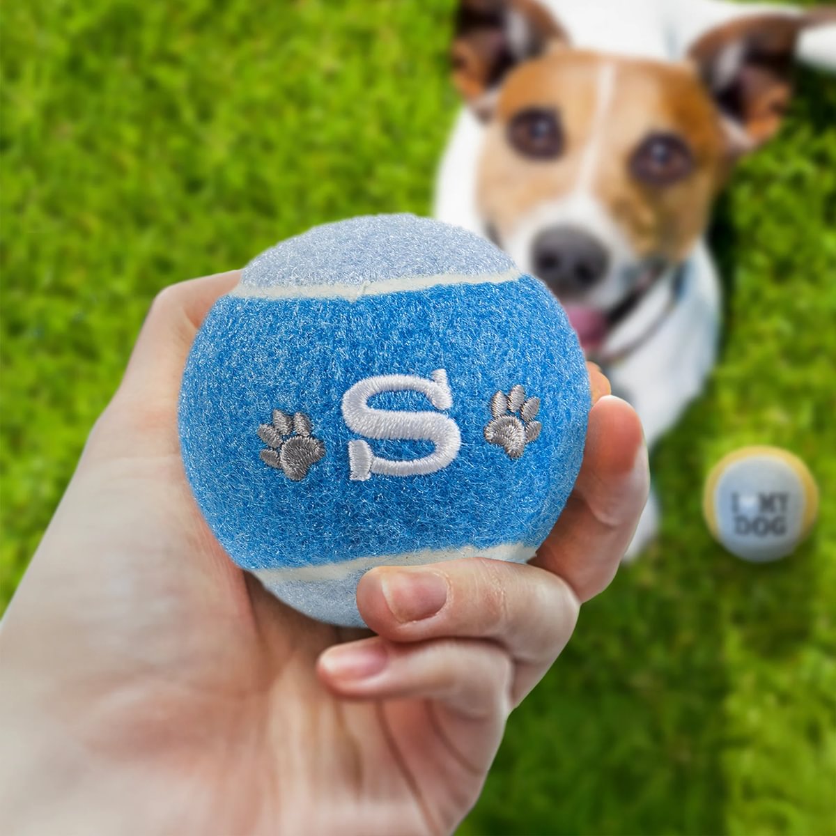 HISTORY & HERALDRY PERSONALISED DOG BALL S 