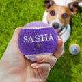 HISTORY & HERALDRY PERSONALISED DOG BALL SASHA 