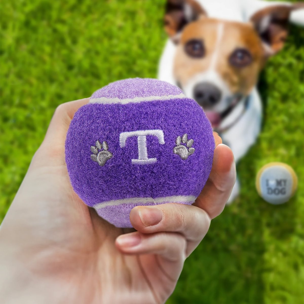 HISTORY & HERALDRY PERSONALISED DOG BALL T 