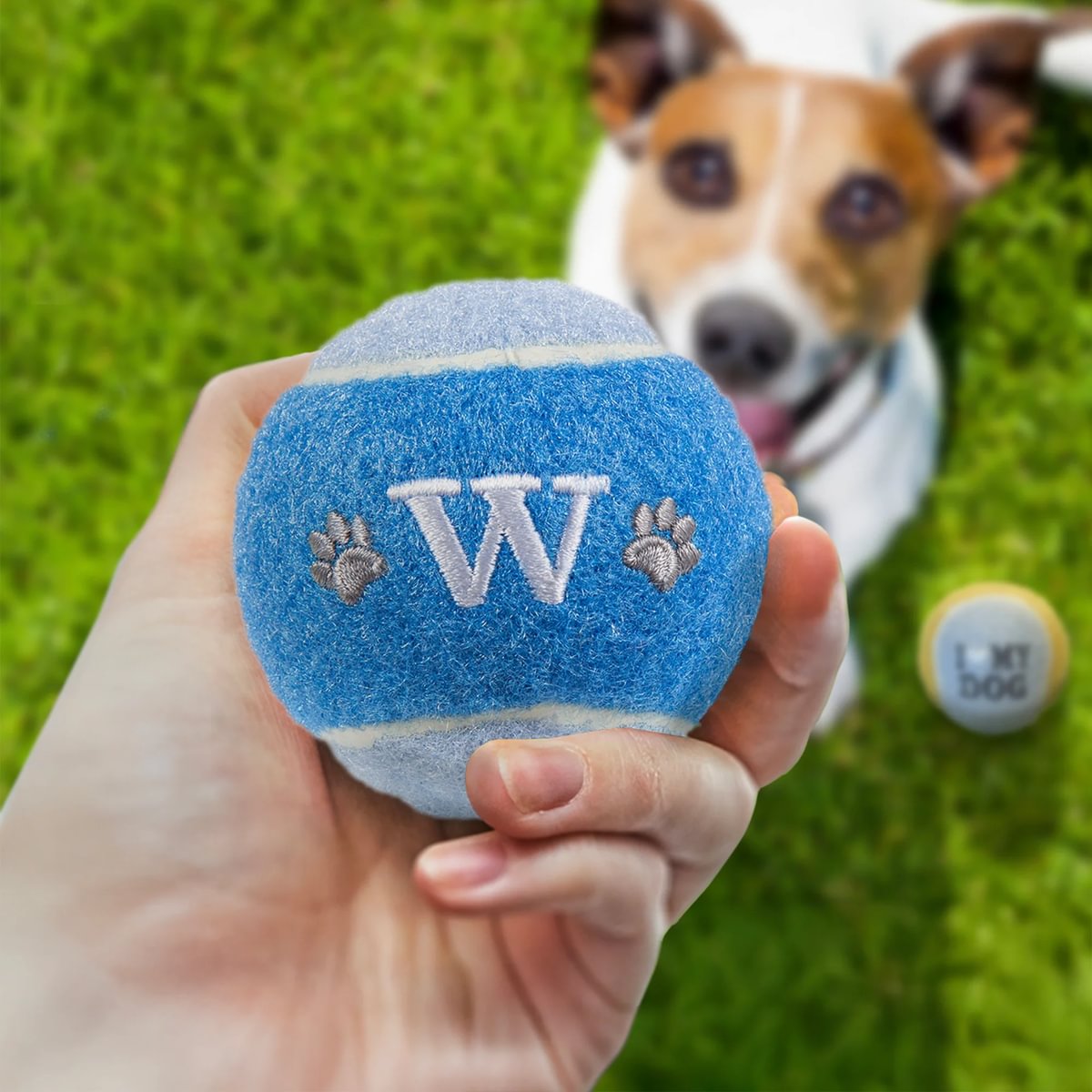 HISTORY & HERALDRY PERSONALISED DOG BALL W 