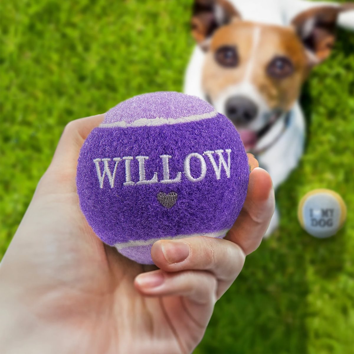 HISTORY & HERALDRY PERSONALISED DOG BALL WILLOW 