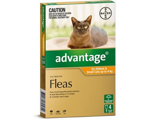 ADVANTAGE CAT & KIT SML TO 4KG ORANGE 4PK