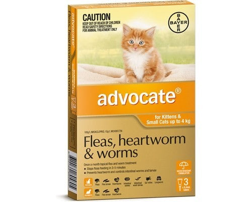 ADVOCATE CAT & KITTEN UNDER 4KG ORANGE 3PK