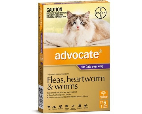 ADVOCATE CAT LRG OVER 4KG PURPLE 6PK
