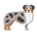 LANDMARK I LOVE MY AUSSIE SHEPHERD MAGNET