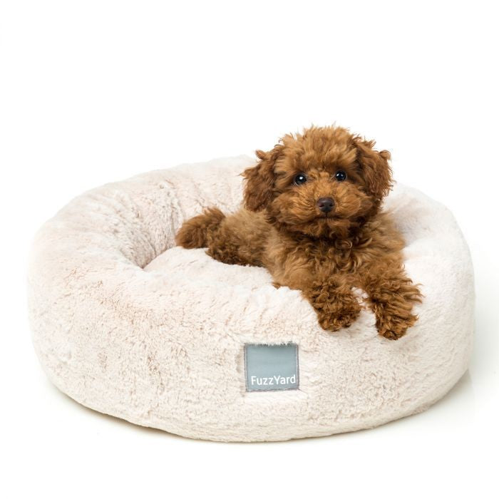 FUZZYARD WINTER CREAM - DREAMEAZZZY CUDDLER - MEDIUM