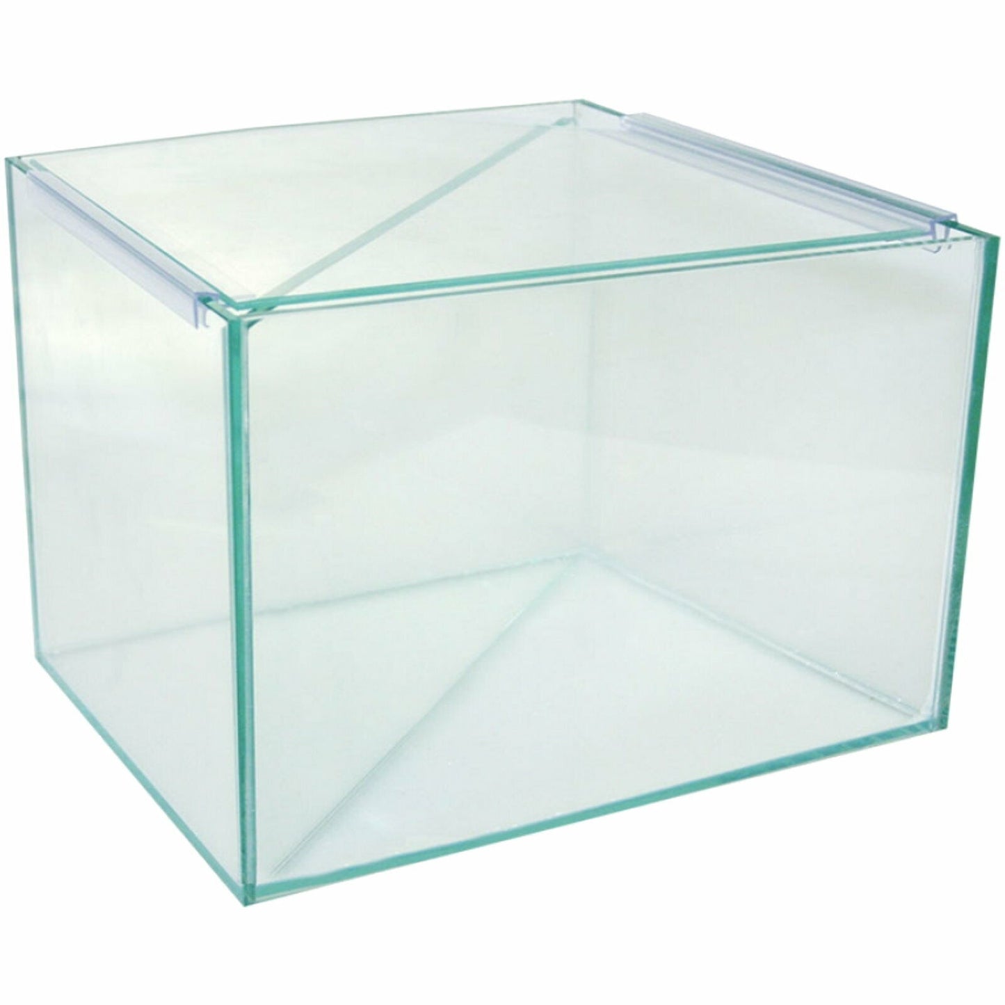 AQUA ONE BETTA DIVIDED GLASS TANK 25x20x20CM (LOCAL DELIVERY AND CLICK AND COLLECT ONLY)