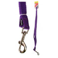 PET ONE LEASH NYLON REFLECTIVE 120CM 25MM PURPLE