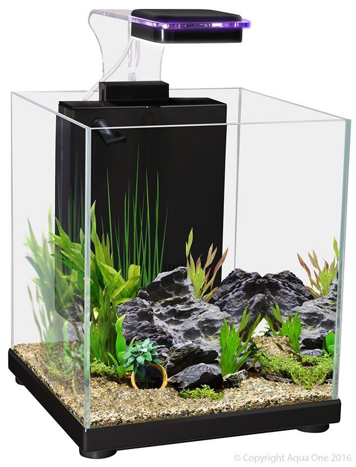 AQUA ONE BETTA SANCTUARY GLASS TANK 10L 22.4W X 22.4D (LOCAL DELIVERY & CLICK & COLLECT ONLY)