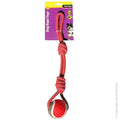 PET ONE DOG TOY ROPE 2 KNOT WITH TENNIS BALL RED/BLUE 43CM