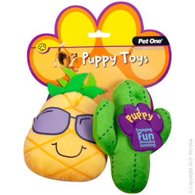 PET ONE DOG TOY PUPPY CACTUS FAMILY ASSORTED