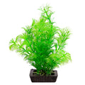 AQUA ONE ECOSCAPE SMALL AMBULIA GREEN