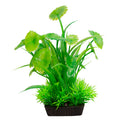 AQUA ONE ECOSCAPE SMALL LOTUS LEAF/LILAEOPSIS GREEN